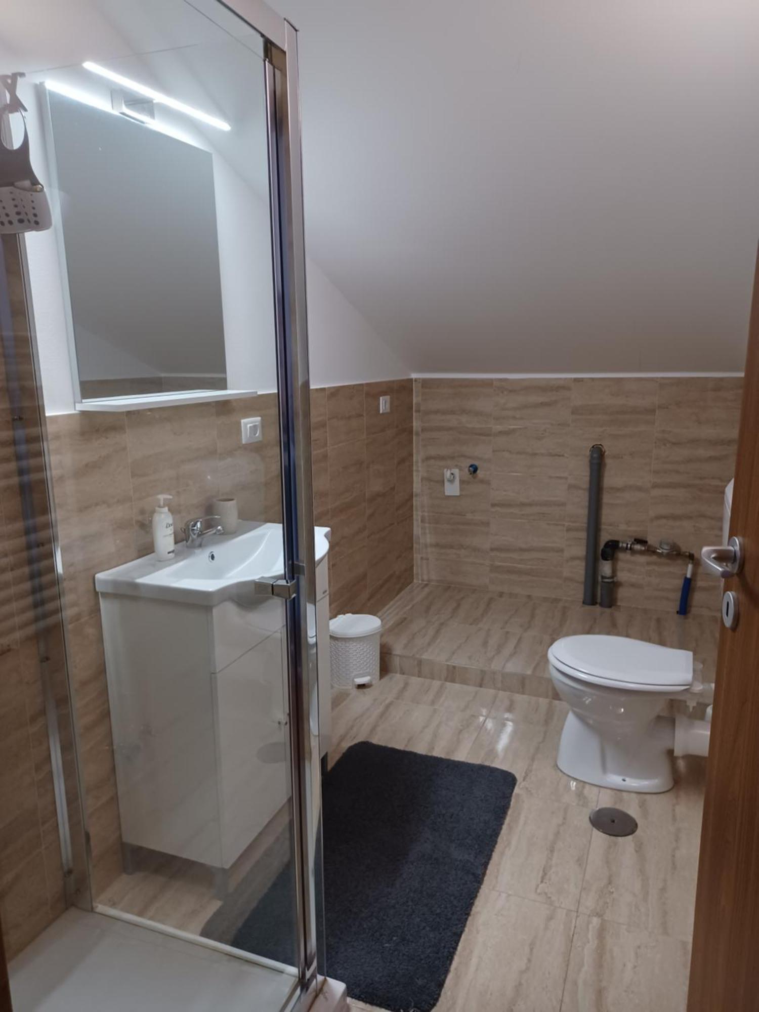 Green House Alba Iulia Room photo
